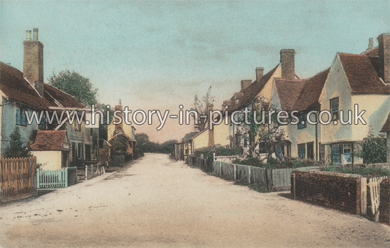 The Village, White Notley, Essex. c.1915
